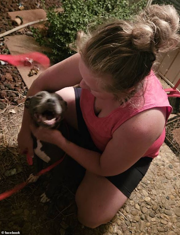 It remains a mystery how Andora ended up all the way across state lines into Oklahoma, but her family believes she may have been stolen to be used for pit bull fighting