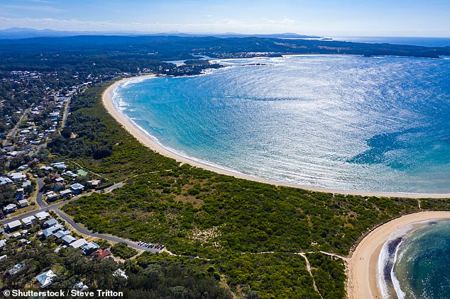 The door fell to the ground with a 'thud' and a 'bang', landing in the undergrowth beyond the sand - missing the fisherman by 20 metres (pictured South Broulee Beach on the New South Wales south coast)