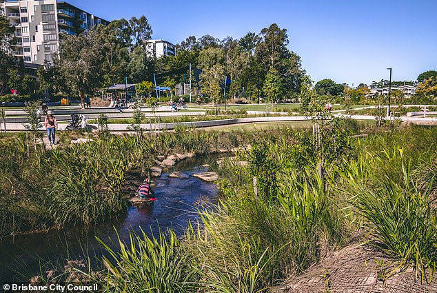 The incident took place in the family-friendly Hanlon Park in Brisbane's south-east