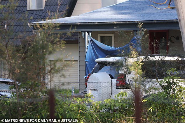 A blue tarpaulin hangs in front of the house where the boys were found