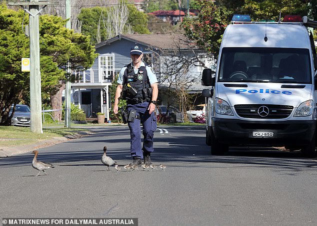 Blue Mountains Commander John Nelson said local officers were being assisted by detectives from the State Crime Command's homicide squad