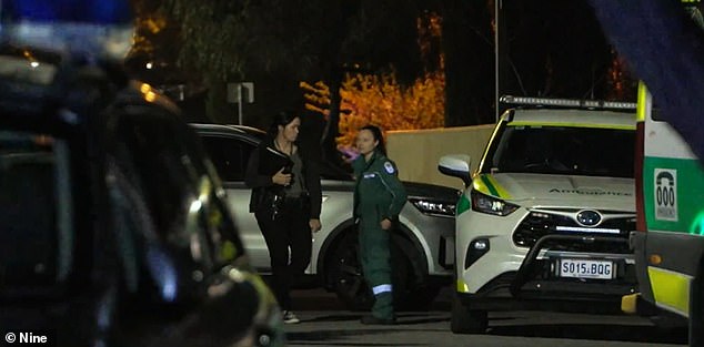 According to police, the teenager was 'lured' out of the house by the attacker after the electricity in the house went out (emergency services are pictured at the scene)