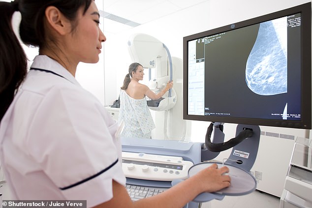 Women with the faulty BRCA1 gene mutation have an 85 per cent lifetime risk of developing breast cancer, around six times higher than the average risk all British women have of developing the disease of around 14 per cent.