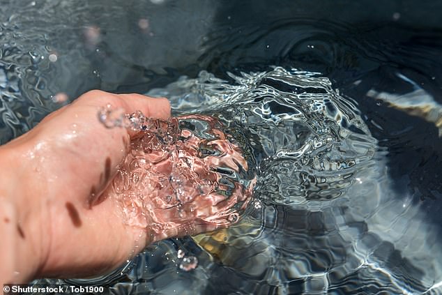 The cold pressor task involves submerging the hand in ice-cold water for as long as possible before it becomes unbearable (stock image)