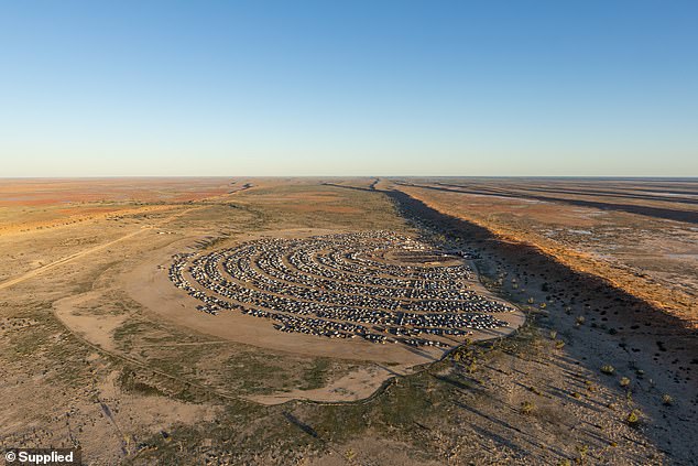 Birdsville Big Red Bash organised a successful festival this year with 14,000 visitors and a packed entertainment programme