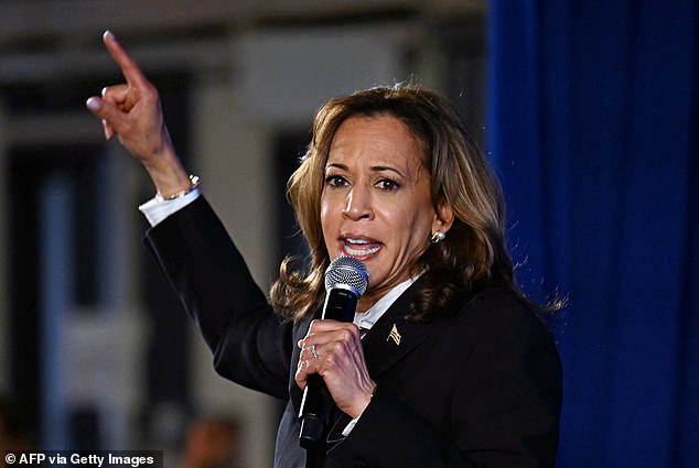 US Vice President and Democratic presidential candidate Kamala Harris speaks at a viewing party following a presidential debate with former US President and Republican presidential candidate Donald Trump