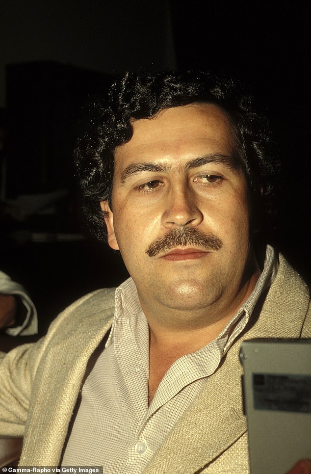 When Escobar (pictured) was killed in a police shooting in Medellin in 1993, authorities left behind four hippos, deeming them too difficult to capture. But numbers have exploded.