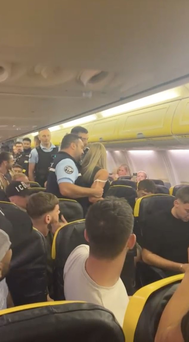 After he left the plane, his partner began harassing, hitting and shouting at another passenger