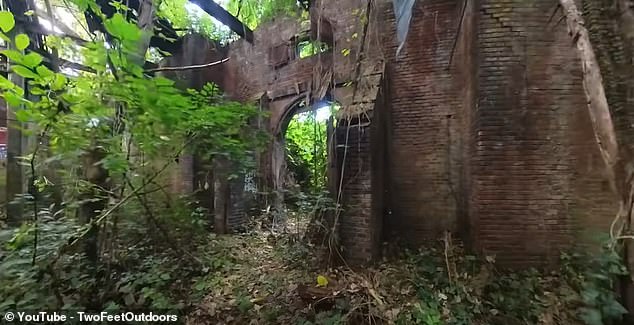 As he maps out a path, he notes how overgrown it is and how there is 'so much ivy everywhere'