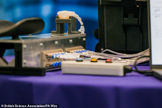 The team behind the device said they believe they have the technology to create a glove that could eventually enable remote social interaction and the feeling of holding a hand