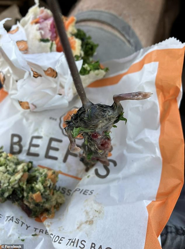 The trader told Daily Mail Australia he took a large bite of the wrap and initially thought it was a 'chewy' piece of ham cartilage, before making the horrifying discovery that it was in fact a rat