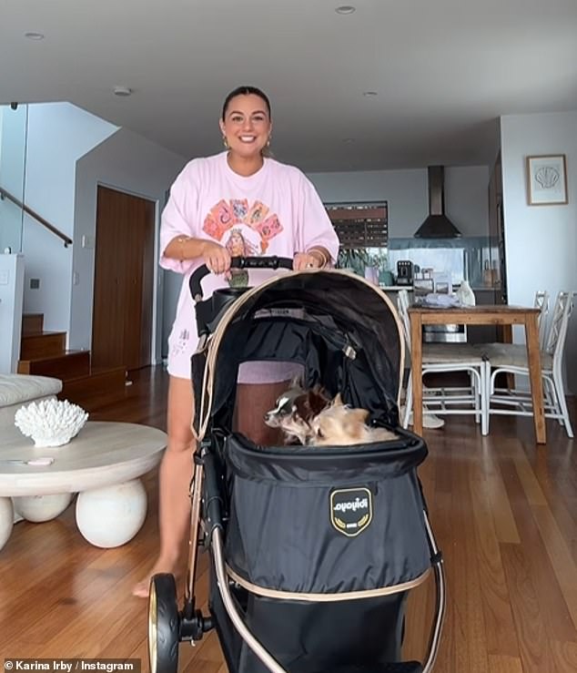 The 34-year-old influencer shared a video on Instagram on Wednesday of the luxury dog ​​stroller she purchased for her three beloved Chihuahuas — Billie, Biscuit and Barnie