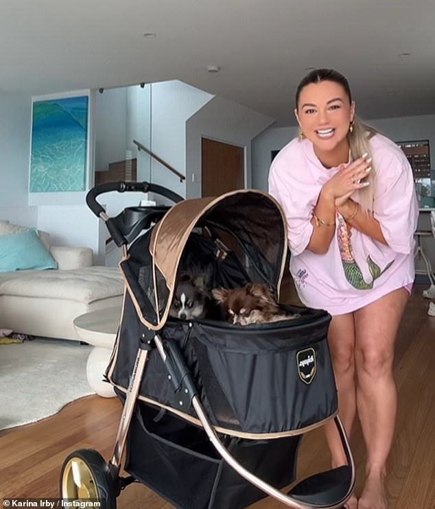 She posted a video of herself assembling the new stroller and pushing her three puppies around the house in it, but the post has divided social media users