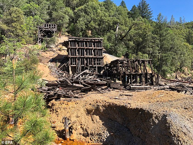 Wooden remains are still scattered across the landscape, including various forms of mine tailings contaminated with arsenic, copper, lead and mercury