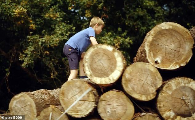 The young prince climbs over tree trunks in the recent video