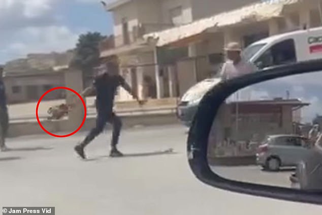 One of the motorists grabs a chainsaw from the back of the pickup truck and the gardener decides to arm himself with another