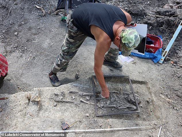 Pawel Wira of the Conservator of Monuments said: 'A burial with a face pressed into the ground, cutting off the head or placing stones on the body are some of the burial methods used to prevent a person believed to be a demonic entity from leaving the grave'