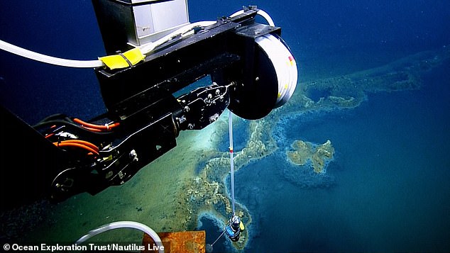 Although the brine itself is 3.7 meters deep, when the remotely operated vehicle inserted a probe (see photo), they could not find the bottom of the liquid mud layer, even after 19 meters.