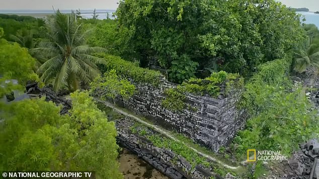 These forestry skills will be crucial to finally bringing the island's ecosystem into balance with these historic ruins, particularly by replacing the island's many wild mangrove trees – which can grow up to 1.5 metres tall in a single year, smothering or tearing apart the ancient ruins.