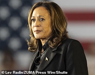 Incumbent Vice President Kamala Harris is the 2024 Democratic presidential nominee