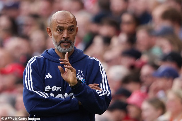 Forest manager Nuno Espirito Santo filled the midfield before taking a risk late in the game when he smelled blood