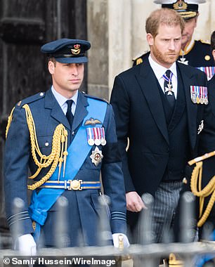 Prince William and Prince Harry, during the state funeral of Queen Elizabeth II at Westminster Abbey