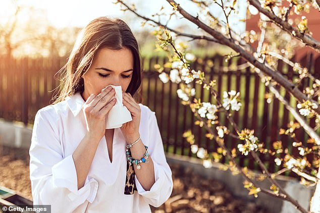 Immunotherapy may be a useful treatment for hay fever (photo posed by model)