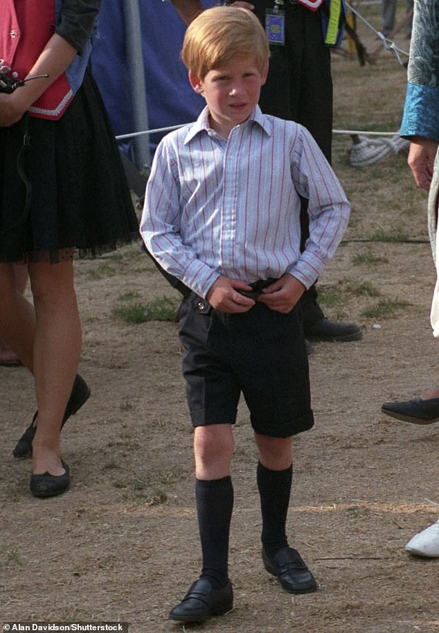 Prince Harry seen at age five at the Cirque Du Soleil, August 1990