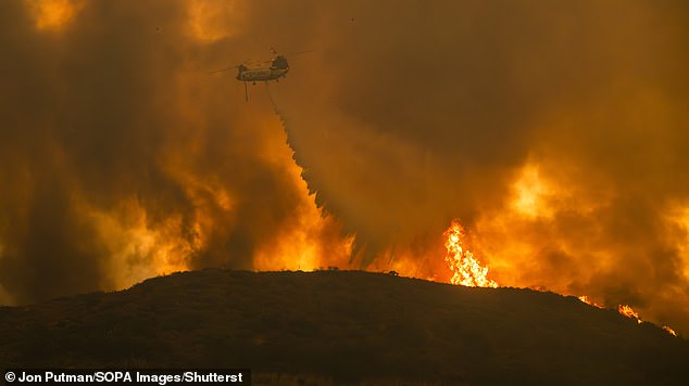 Firefighters worked 28-hour shifts to contain the raging flames