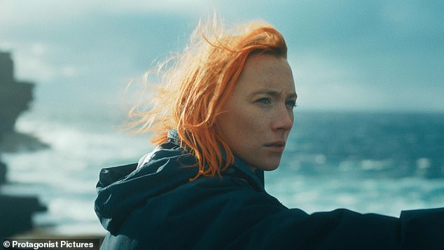 Ronan stars in the upcoming drama The Outrun as Rona (pictured), a young woman who moves to the Orkney Islands after undergoing treatment for alcoholism