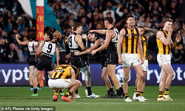 The Hawks lost their semi-final against Port Adelaide by just three points - 11.9 (75) to 11.6 (72) - on Friday night at Adelaide Oval