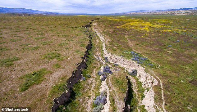 Seismologist Lucy Jones said the recent increase in seismic activity in Southern California is not a sign that the San Andreas Fault is about to rupture