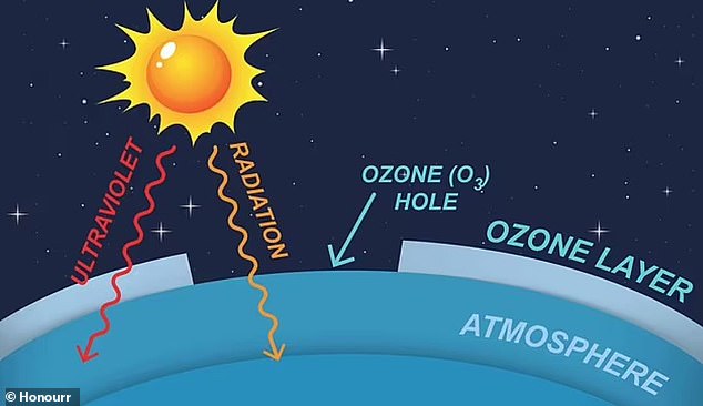 Ozone that has built up in the stratosphere normally absorbs almost all of the radiation coming from the sun.