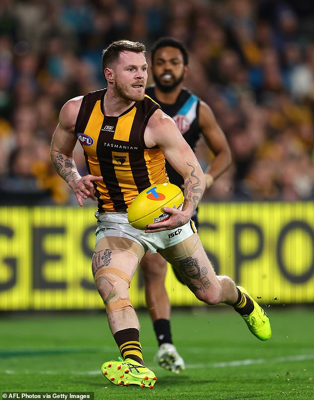 Hardwick has praised Hawthorn coach Sam Mitchell for his influence on the 2024 squad