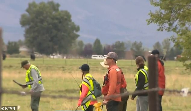 According to the Federal Aviation Administration (FAA), one of the planes, a Globe GC-1B, had one passenger on board, while the other plane, a Cessna 206, had two. (Pictured: Authorities at the scene of the crash)