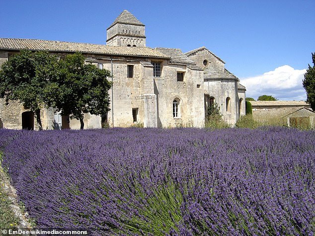 In May 1889, Van Gogh voluntarily admitted himself to the Saint-Paul-de-Mausole lunatic asylum, housed in a former monastery (pictured) in the south of France.