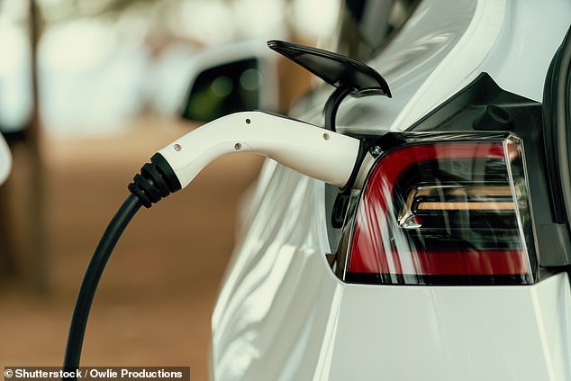 One of the biggest concerns holding drivers back from making the switch to electric cars is the lifespan of their batteries and how often they need to be replaced at high cost.