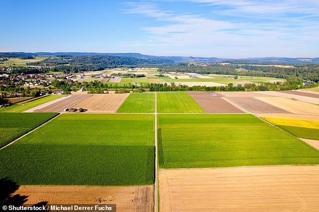 File photo of agricultural fields with gravel road in the village of Andelfingen, Canton of Zurich, on a sunny summer morning