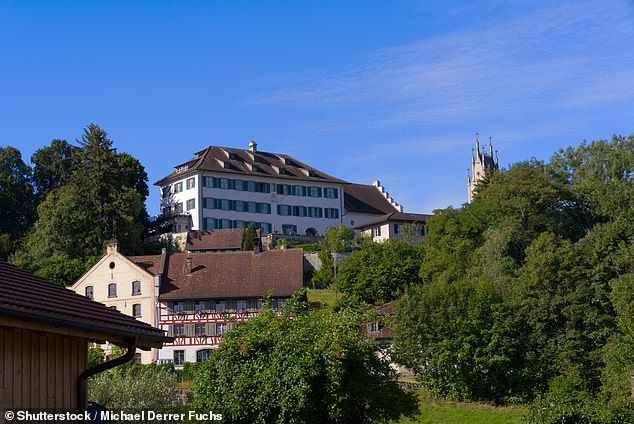 Above you see the castle of Andelfingen with a mill in the foreground