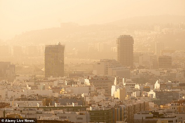 She was officially declared dead upon arrival at the Doctor Negrin Hospital in the capital of Gran Canaria, Las Palmas (File photo from Las Palmas)