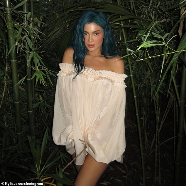 Earlier this month, Kylie uploaded snaps of her hair sporting blue hair, but it appears she's now back to her natural hair color