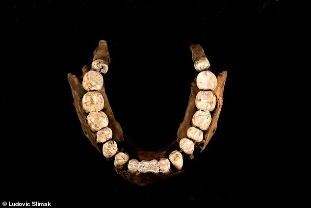 A team of researchers used the root of one of Thorin's molars to determine that he was male and to generate a full genome sequence