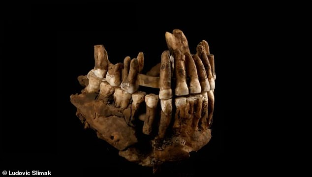 The isolation of this Neanderthal group complicates our understanding of how these early humans disappeared and were eventually replaced by modern humans.