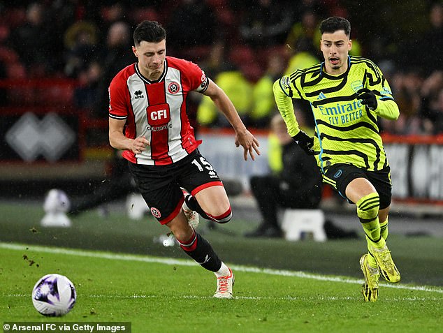 Sheffield United defender Anel Ahmedhodzic (left) was born in Sweden to Bosnian parents and previously made 24 appearances for the Bosnia and Herzegovina national team.