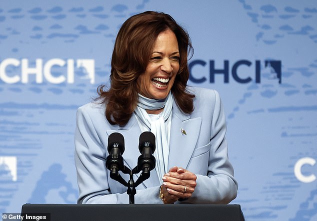 Vice President Harris had sought the group's support, even though the labor leader did not speak at its convention after speaking at Trump's.