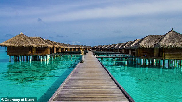 Zoom users can add any image to spice up their background, for fun or to hide the contents of their home from colleagues. The Maldives, pictured, is a popular destination for a Zoom background