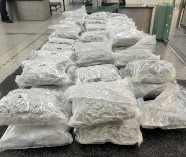 About 60kg of the substance was found in a number of suitcases at Stansted Airport