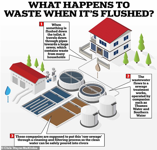 This graph shows what happens to items when they are flushed down the toilet. Scientists warn that they routinely end up in waterways and oceans