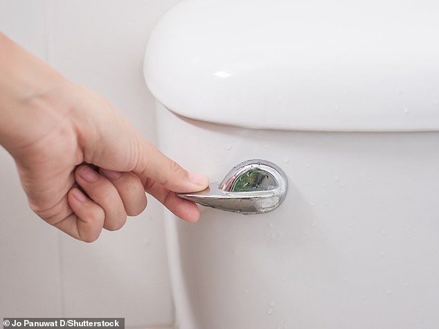 Wet wipes can end up on our beaches and in the environment as they are often accidentally flushed down the toilet instead of being thrown in the trash (stock image)