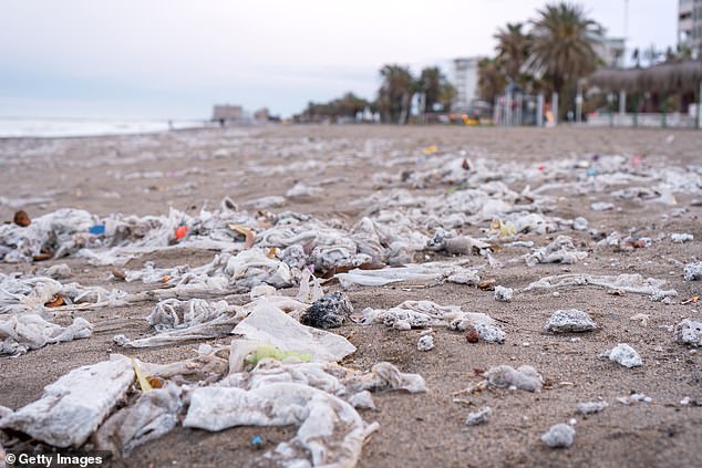 Harmful bacteria on plastic waste from sewage washing up on beaches can survive long enough to pose a risk to human health